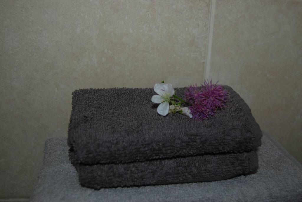 Creag Mhor Self Catering Holiday Apartment Aberfoyle  Esterno foto