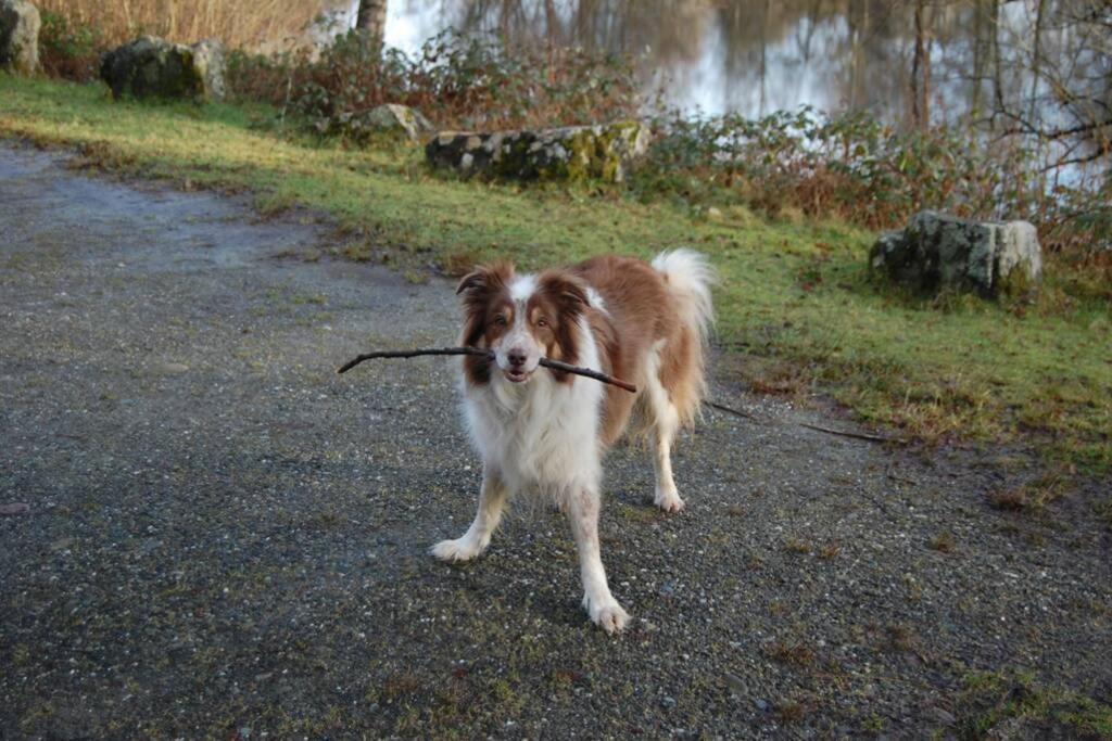 Creag Mhor Self Catering Holiday Apartment Aberfoyle  Esterno foto