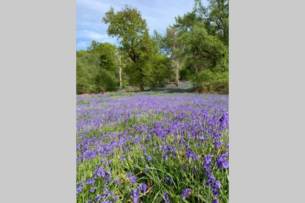 Creag Mhor Self Catering Holiday Apartment Aberfoyle  Esterno foto